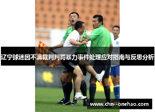 辽宁球迷因不满裁判判罚暴力事件处理应对指南与反思分析