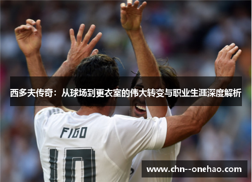 西多夫传奇：从球场到更衣室的伟大转变与职业生涯深度解析