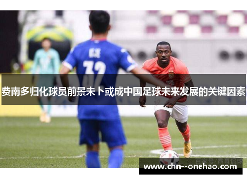 费南多归化球员前景未卜或成中国足球未来发展的关键因素 费南多归化球员前景未卜或成中国足球未来发展的关键因素