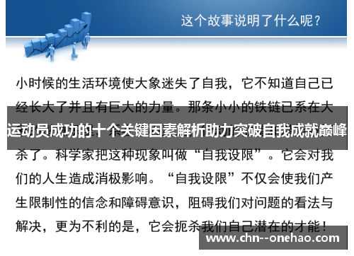 运动员成功的十个关键因素解析助力突破自我成就巅峰